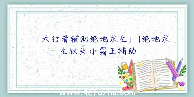 「天行者辅助绝地求生」|绝地求生铁头小霸王辅助